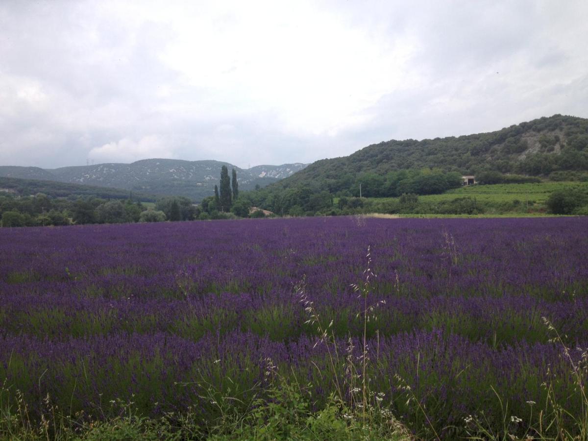 La Petite Maison En Pierres Gras Εξωτερικό φωτογραφία